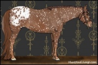 Horse Color:Chestnut Snowflake Varnish 