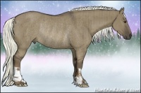 Horse Color:Liver Red Dun Rabicano Brindle