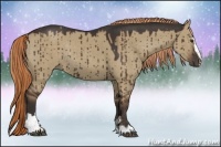 Horse Color:Liver Red Dun Sabino Rabicano 