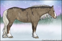 Horse Color:Liver Red Dun Sabino Rabicano