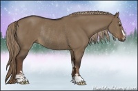 Horse Color:Liver Red Dun Sabino Rabicano