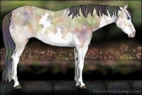 Horse Color:Nacre Brown Ice Dun Splash