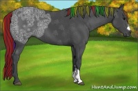 Horse Color:Painted Black Ice 