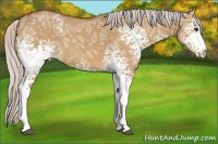 Horse Color:White Spotted Silver Bay Ice Dun