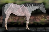 Horse Color:Smoky Black Ice 