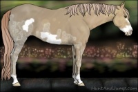 Horse Color:Palomino Ice Frame 