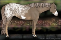 Horse Color:Chocolate Palomino Ice Frame