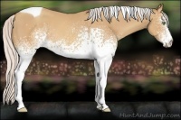 Horse Color:White Spotted Silver Sable Champagne Tobiano 