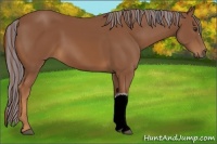 Horse Color:Painted Chestnut 