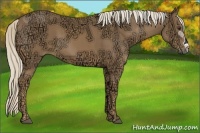 Horse Color:Palomino Ice