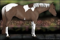 Horse Color:Liver Chestnut Sabino Tobiano 
