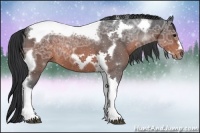 Horse Color:Brown Ice Tobiano Frame Rabicano