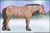 Horse Color:Nacre Bay Ice Sabino Rabicano 