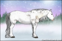 Horse Color:Brown Ice Onyx Sabino 