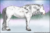 Horse Color:Brown Ice Sabino Rabicano 