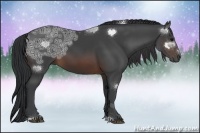 Horse Color:Brown Ice Sabino Rabicano 