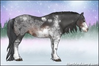 Horse Color:Brown Ice Sabino Rabicano 