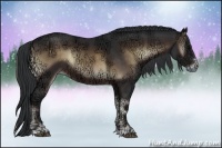 Horse Color:Brown Ice Onyx Sabino