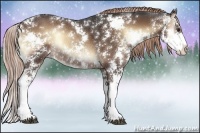 Horse Color:Liver Red Onyx Sabino Rabicano 