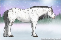 Horse Color:Blue Onyx Ice Sabino Appaloosa 