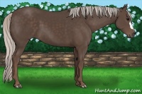 Horse Color:Silver Black 