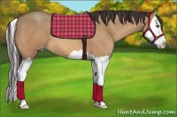 Horse Color:Amber Champagne Splash 