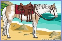 Horse Color:White Spotted Silver Buckskin 