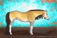 Horse Color:Buckskin Onyx