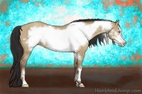 Horse Color:Sable Champagne Dun Frame 