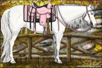 Horse Color:Cremello Dun 