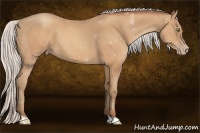 Horse Color:Silver Sable Champagne 
