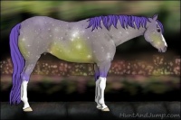 Horse Color:Watercolor Bay 