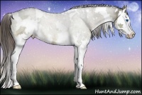 Horse Color:White Spotted Liver Red Dun Ice Sabino Splash Rabicano