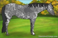 Horse Color:Black Ice 