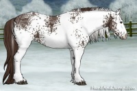 Horse Color:White Spotted Liver Chestnut Ice 