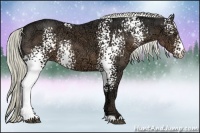 Horse Color:White Spotted Liver Chestnut Ice Rabicano 