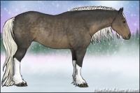 Horse Color:Liver Chestnut Rabicano