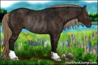 Horse Color:Liver Chestnut Ice Rabicano