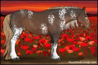 Horse Color:White Spotted Liver Chestnut Sabino Appaloosa Rabicano