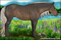 Horse Color:Liver Chestnut Rabicano 
