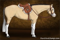 Horse Color:Bay Dun Splash 