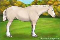 Horse Color:White Spotted Palomino Pearl 