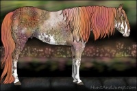 Horse Color:Nacre Watercolor Chestnut Ice Sabino