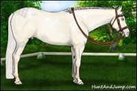 Horse Color:White Spotted Silver Amber Cream Champagne Pearl Dun