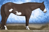 Horse Color:Liver Chestnut Frame 