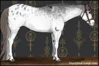 Horse Color:White Spotted Smoky Black Appaloosa Rabicano 