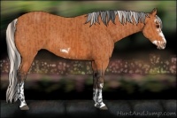 Horse Color:Bay Splash Frame  and Silver Bay Splash Frame 