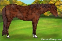 Horse Color:Chocolate Bay Ice 