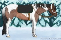 Horse Color:Bay Roan Tobiano