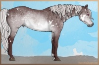 Horse Color:White Spotted Chocolate Silver Brown Chinchilla Sabino 
